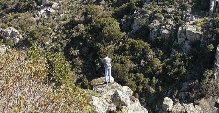 Al momento stai visualizzando Trekking