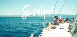 Read more about the article Sail Boats